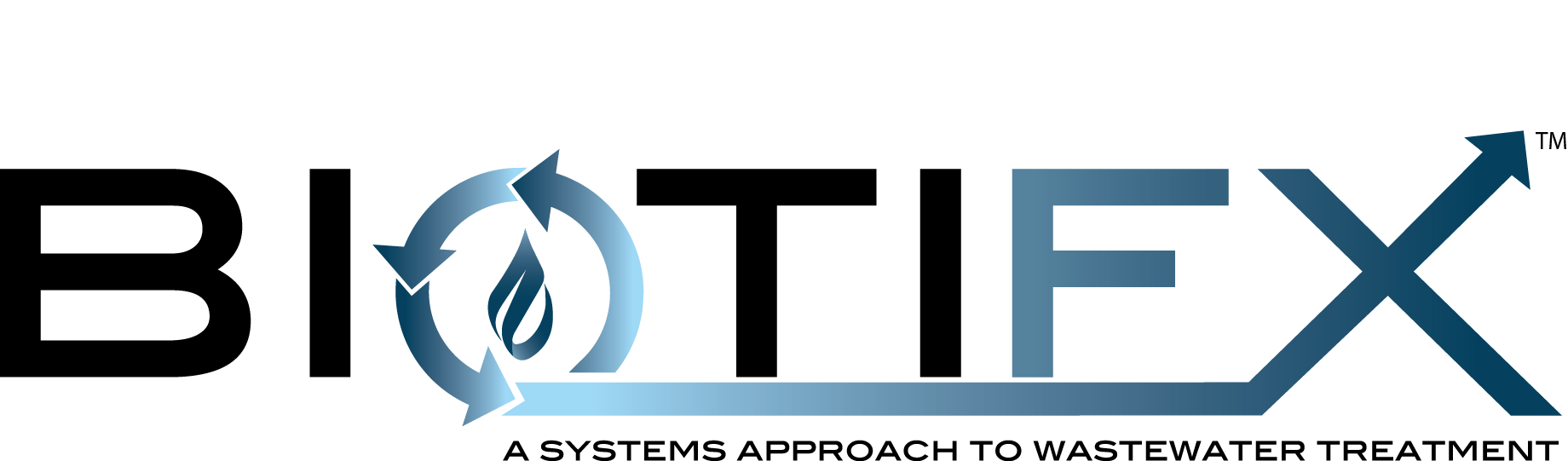 Biotifx Logo_2
