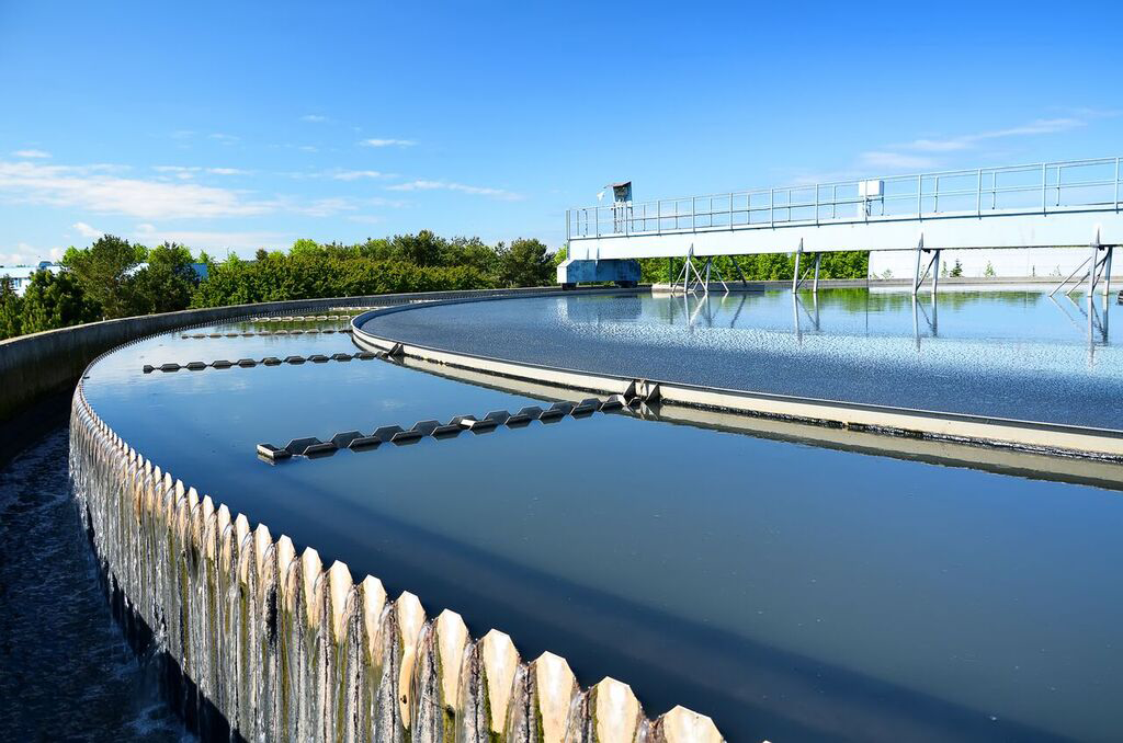 Bioaugmentation in wastewater facility